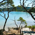 La Tancade, Pour 8 Personnes Avec Vue A 5 Minutes De La De L'almanarre A * イエール